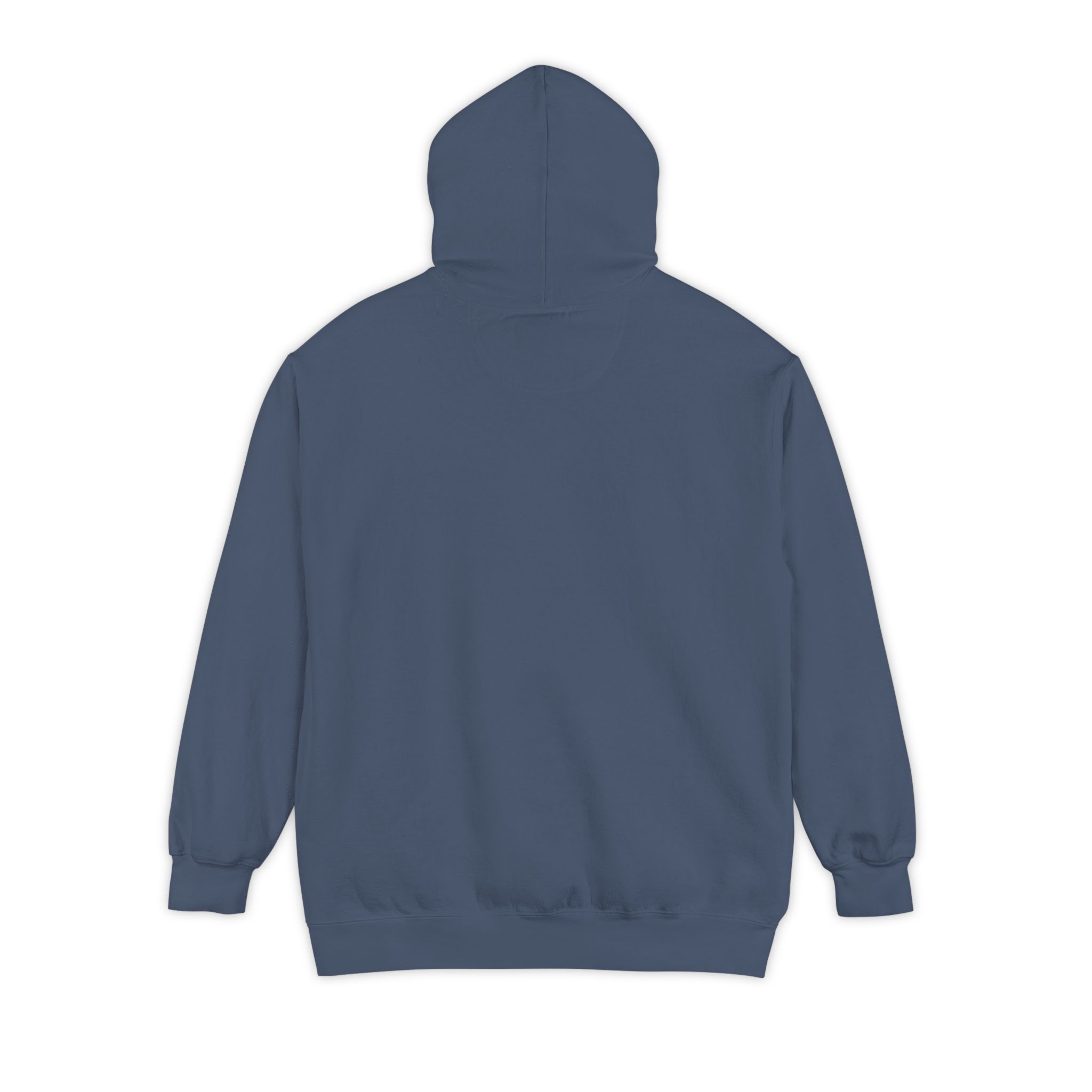 Let Our Salmon Come Home Garment-Dyed Hoodie - Image 2