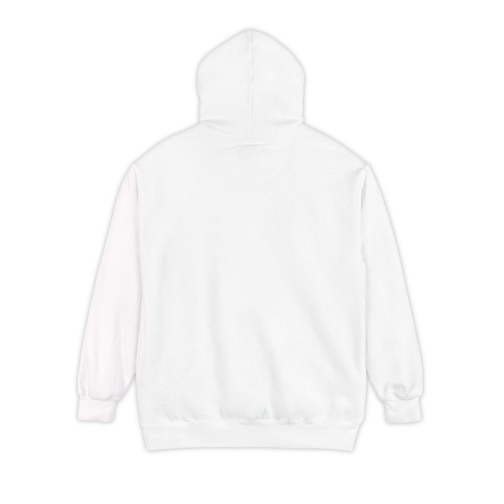 Let Our Salmon Come Home Garment-Dyed Hoodie - Image 4