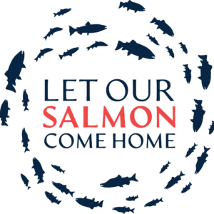 Picture of Let Our Salmon Come Home